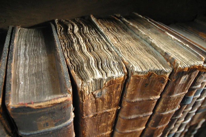 Reliures d'ouvrages anciens alignés sur une étagère